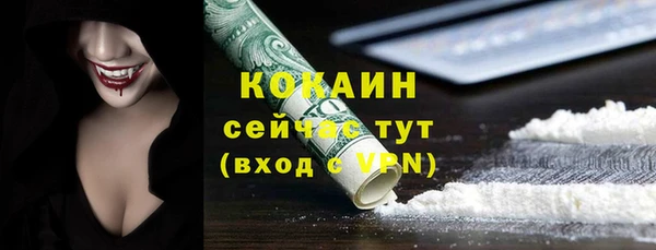 a pvp Бородино