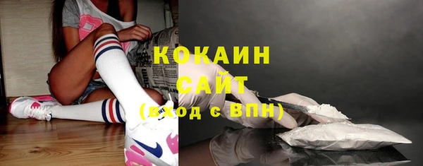 a pvp Бородино