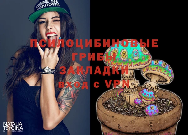 a pvp Бородино